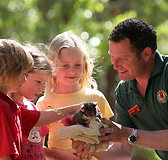Cleland Wildlife Park - New Castle Holiday