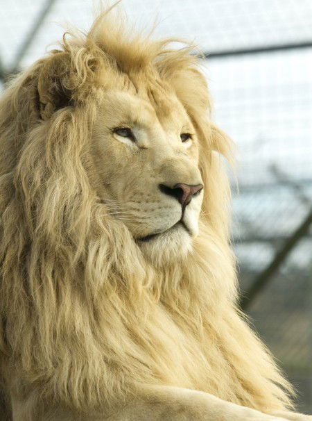 Zoo Doo Wildlife Park - New Castle Holiday 3