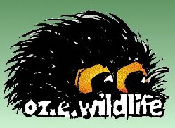OZe Wildlife - New Castle Holiday 0