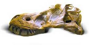 Australia Walkabout Wildlife Park - New Castle Holiday 2