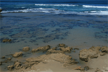 Canberra Contemporary Art Space - thumb 0