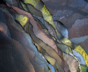 ArtSpace Mackay - New Castle Holiday 1