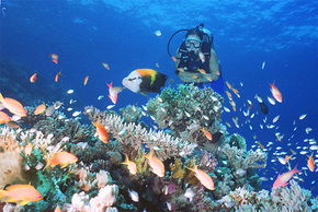 The Whitsundays QLD New Castle Holiday
