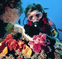 Gold Coast Seaway Dive Site - New Castle Holiday