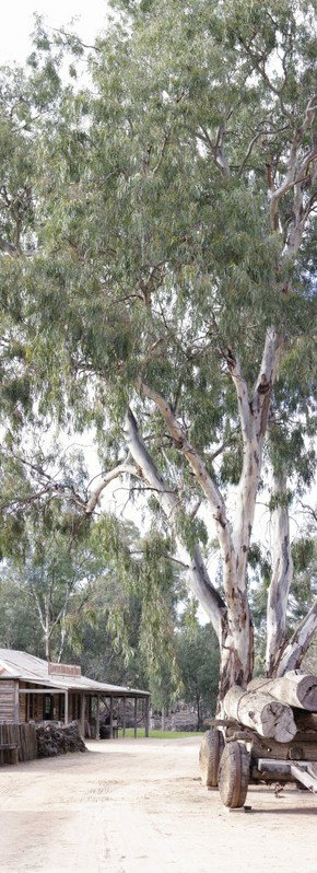 Pioneer Settlement - New Castle Holiday 1