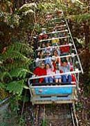 Scenic World Blue Mountains - New Castle Holiday 2