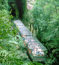 Scenic World Blue Mountains - New Castle Holiday 3