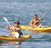 Manly Kayaks - New Castle Holiday