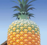 The Big Pineapple - New Castle Holiday