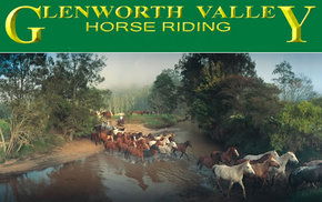 Glenworth Valley Horseriding - New Castle Holiday 0