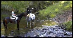 Glenworth Valley Horseriding - New Castle Holiday 1