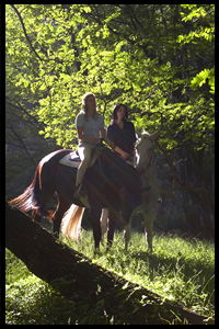 Glenworth Valley Horseriding - New Castle Holiday 2