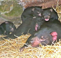 East Coast Natureworld - New Castle Holiday