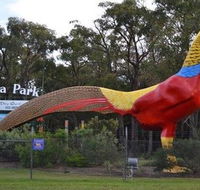 Gumbuya Park - New Castle Holiday