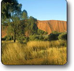 Uluru - Kata Tjuta National Park - New Castle Holiday