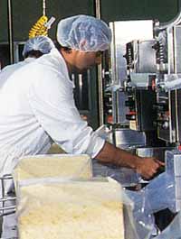 Allansford Cheese World - New Castle Holiday 1