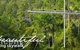 Rainforest Skywalk - thumb 2