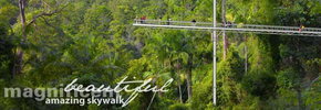 Rainforest Skywalk - New Castle Holiday 2