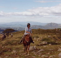 High Country Horses - New Castle Holiday