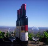 Mount Tamborine Winery  Homestead - New Castle Holiday