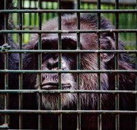 Rockhampton Zoo - New Castle Holiday