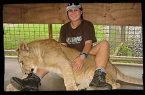Cairns Wildlife Safari Reserve - New Castle Holiday 1