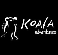 Koala Adventures - New Castle Holiday