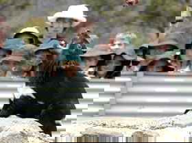 Norwood TAS New Castle Holiday