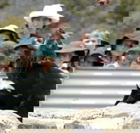 Tasmania Zoo - New Castle Holiday