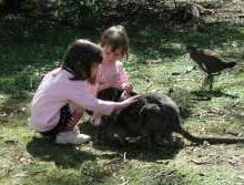 Urimbirra Wildlife Park - New Castle Holiday 1