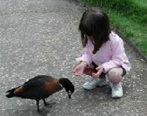 Urimbirra Wildlife Park - New Castle Holiday 3