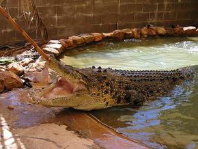 North West NSW New Castle Holiday