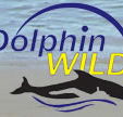 Dolphin Wild - New Castle Holiday