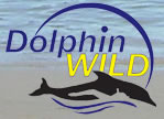 Dolphin Wild - New Castle Holiday 0