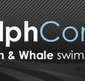 Dolphcom - Dolphin  Whale Swimming Adventures - New Castle Holiday