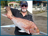 Odyssey Charters - New Castle Holiday 1