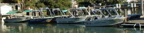 Brooklyn Central Boat Hire & General Store - New Castle Holiday 1