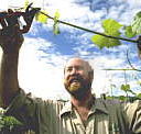 Barossa Experience Tours - New Castle Holiday