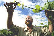 Barossa Experience Tours - New Castle Holiday 0