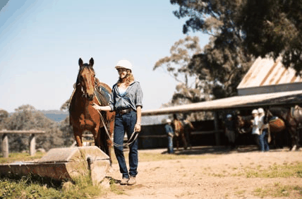 Watsons Trail Rides - New Castle Holiday