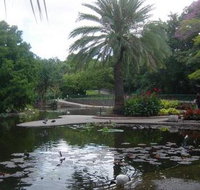 Brisbane City Botanic Gardens - New Castle Holiday