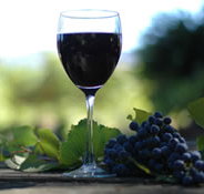 Lion Mill Vineyards - New Castle Holiday