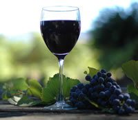 Lion Mill Vineyards - New Castle Holiday 0