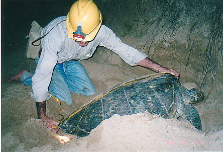 Footprints Adventures - New Castle Holiday 2