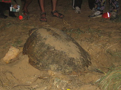 Footprints Adventures - New Castle Holiday 3