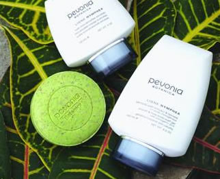 AQueous Spa - New Castle Holiday 1