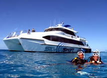 Silver Swift - New Castle Holiday 0