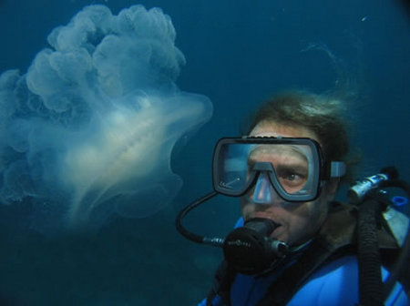 Silver Swift - New Castle Holiday 2