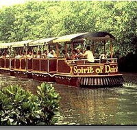 Daintree Rainforest River Trains - New Castle Holiday