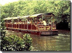Daintree Rainforest River Trains - New Castle Holiday 0